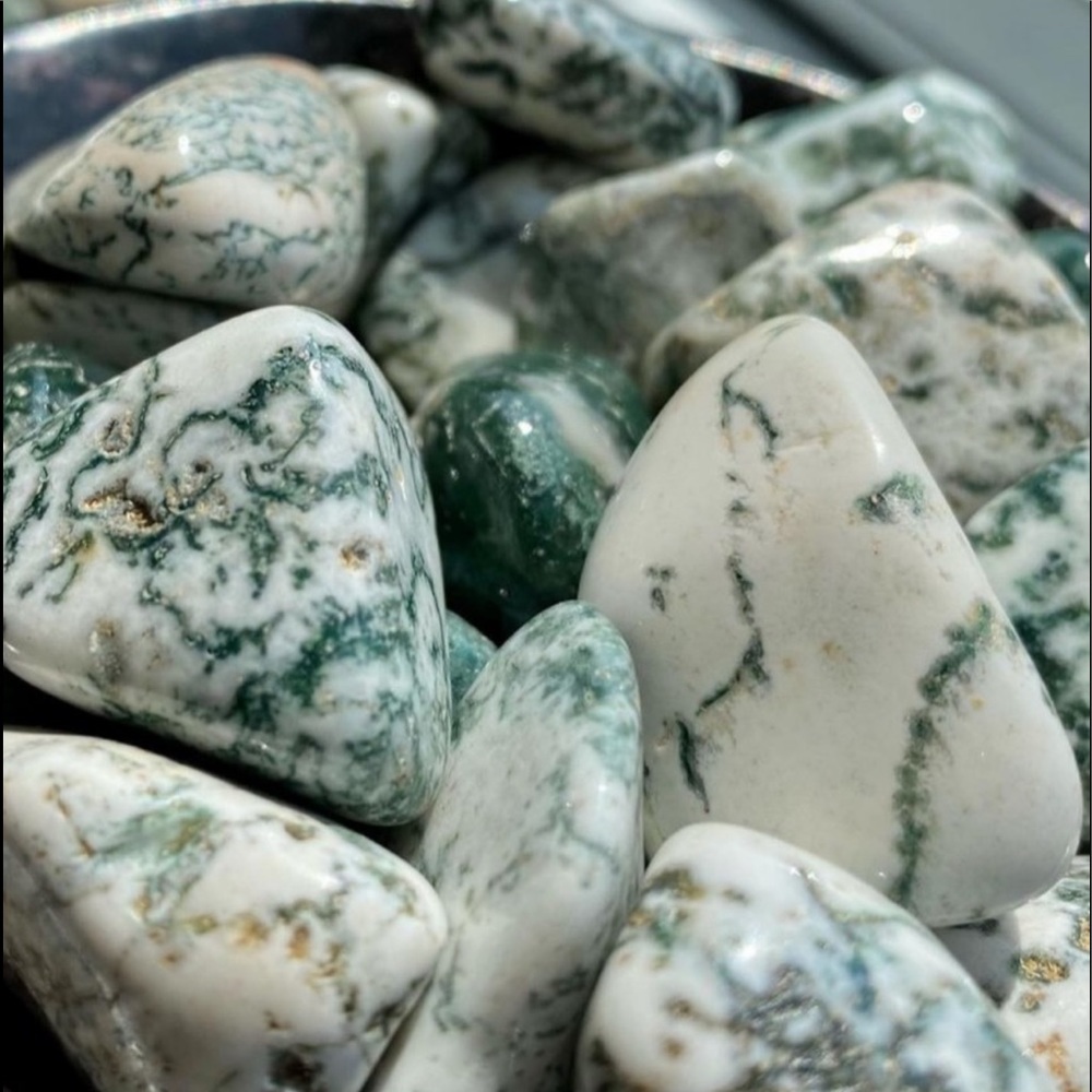 Moss / Tree Agate Tumbles (1pc)